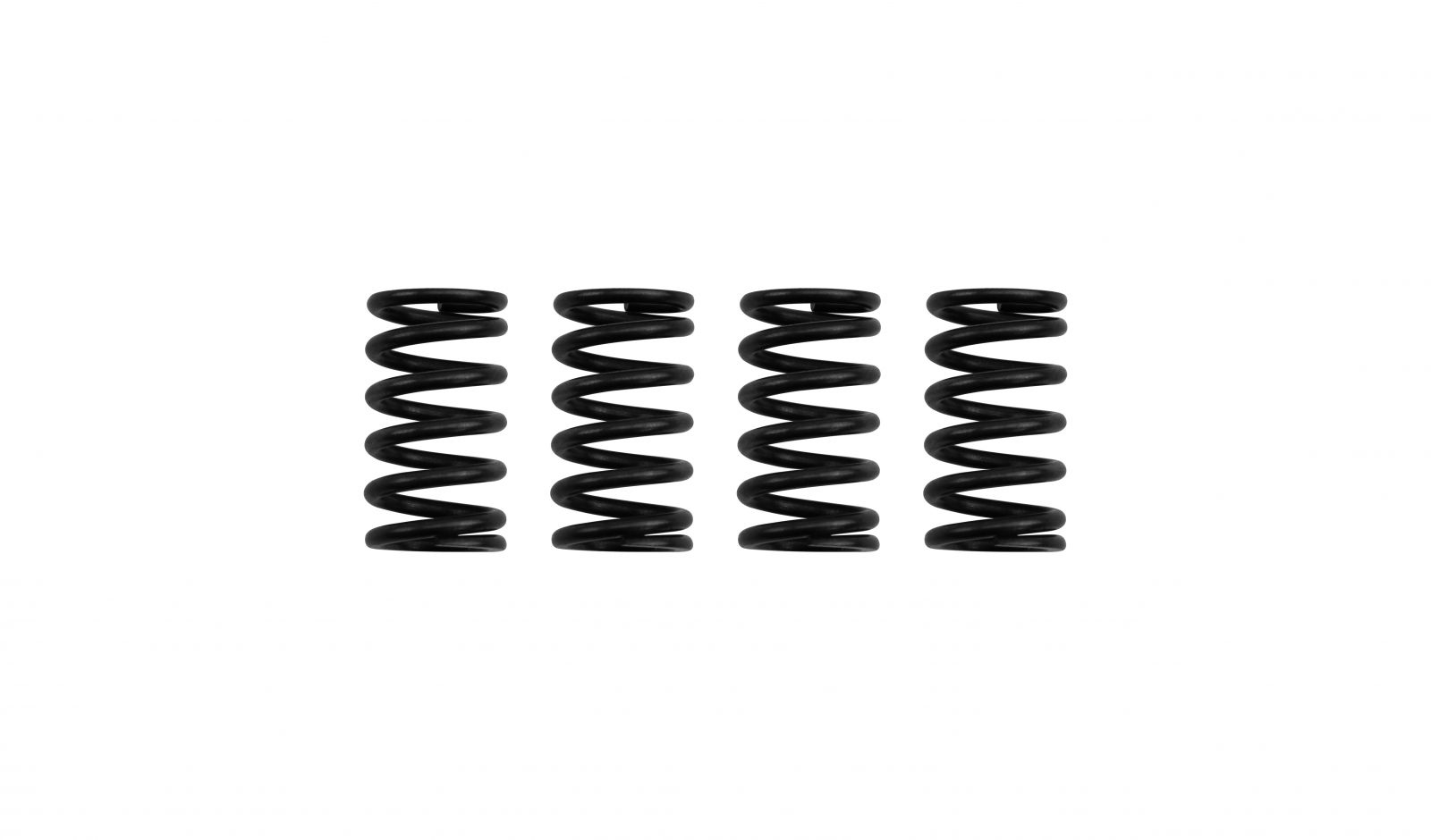 Clutch Springs - 306006H image
