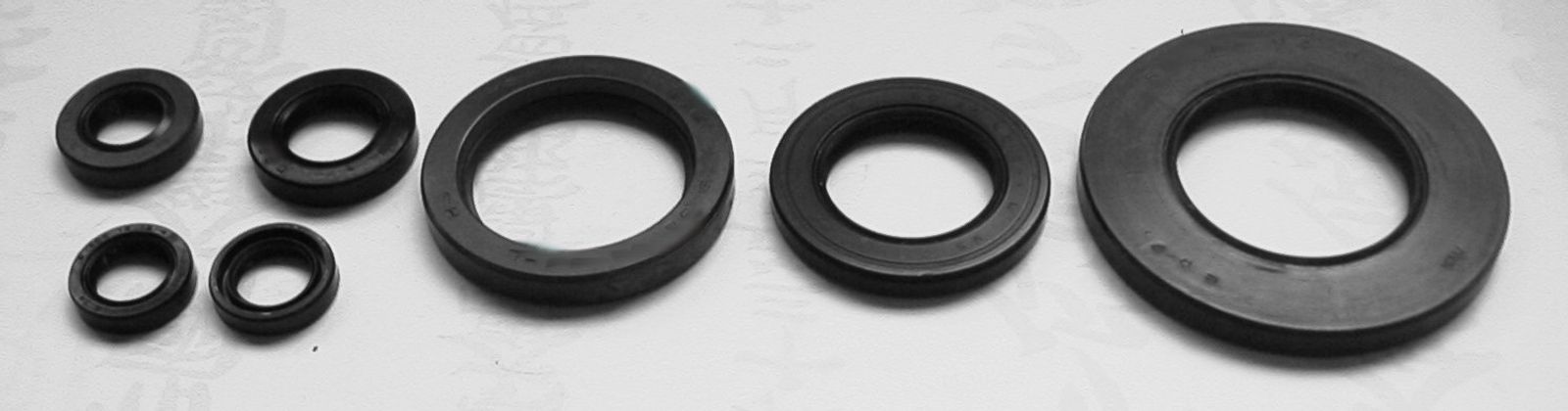 Tourmax Engine Oil Seal Kits - 519225T image