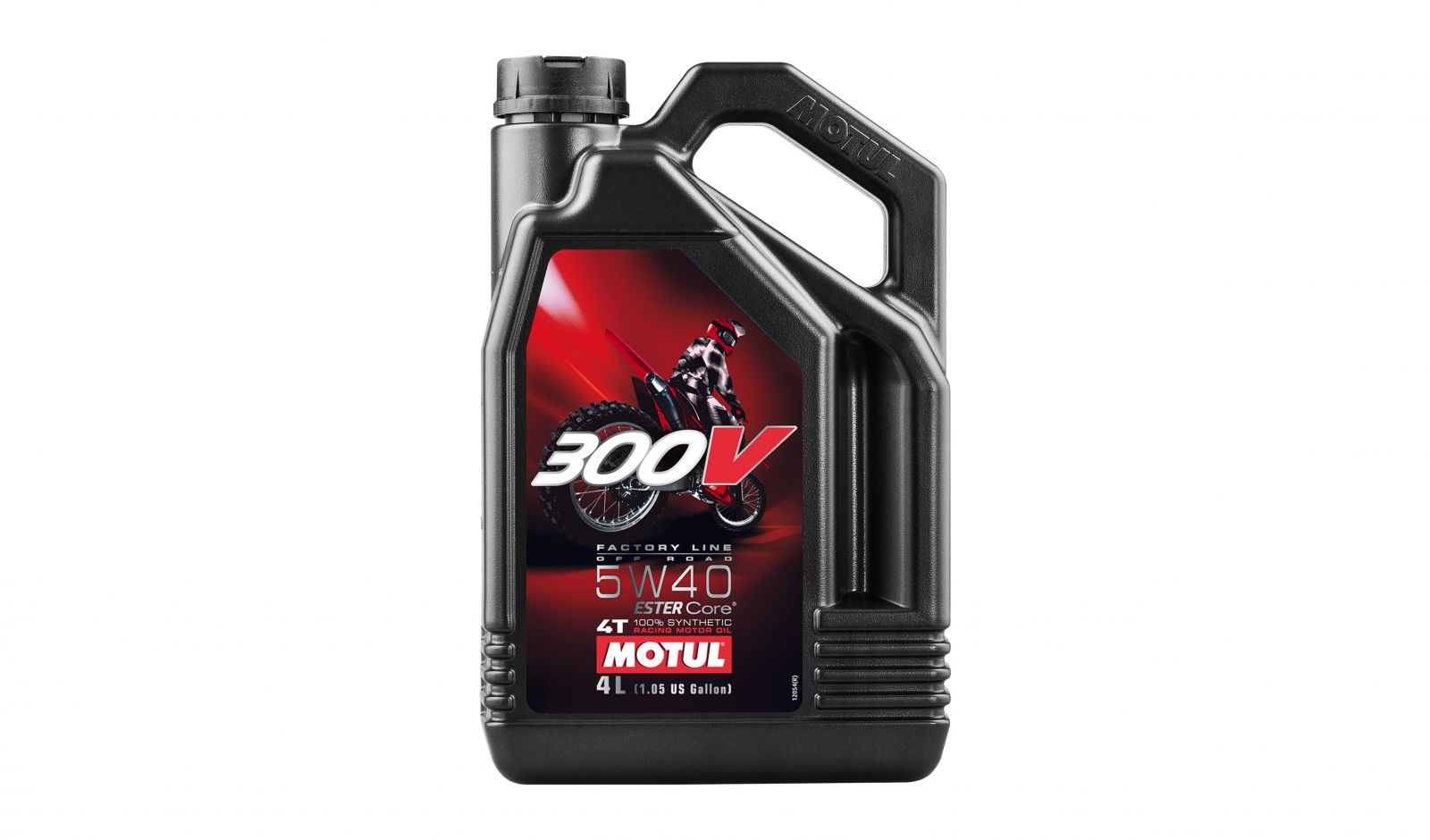 4 Stroke Engine Oils - 670315M image