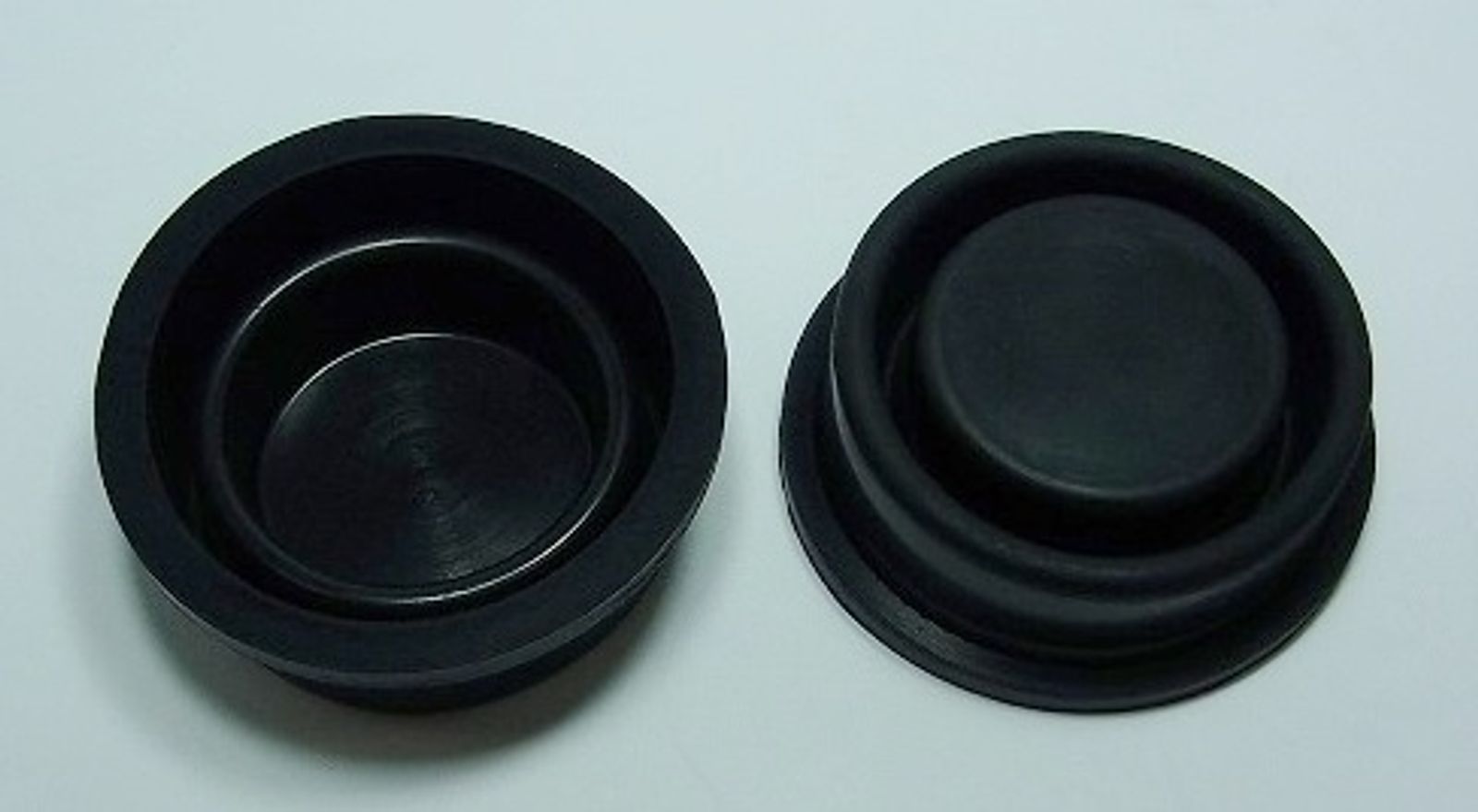 Master Cylinder Cap Diaphragms - 756503T image