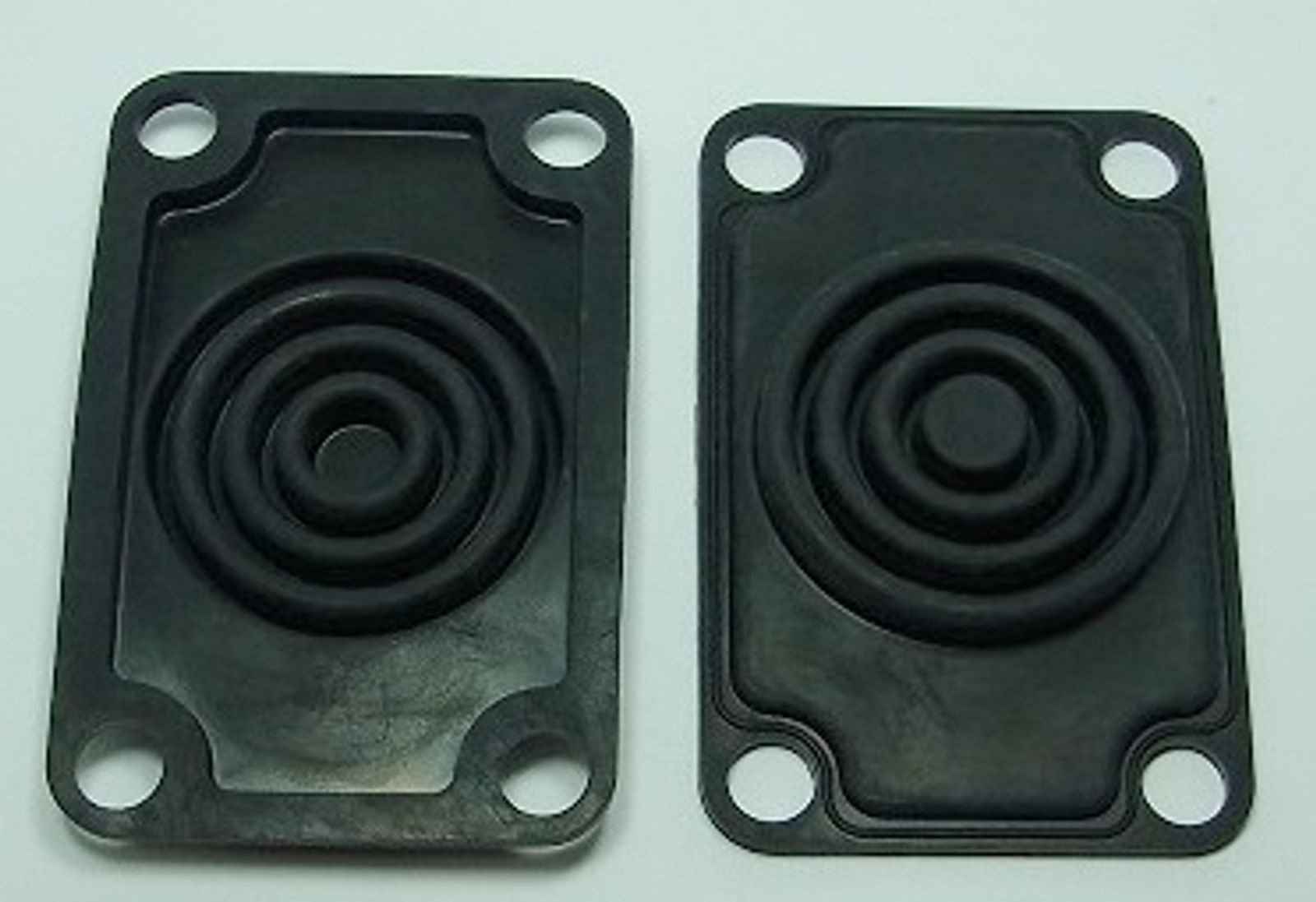 Master Cylinder Cap Diaphragms - 756507T image