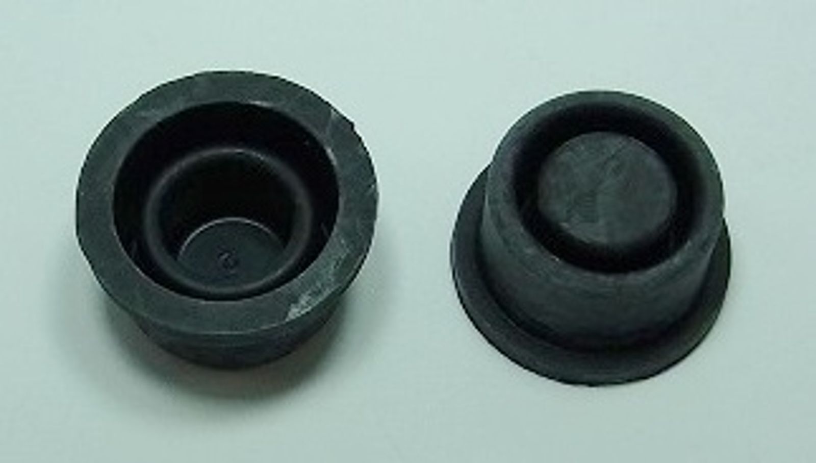 Master Cylinder Cap Diaphragms - 756509T image