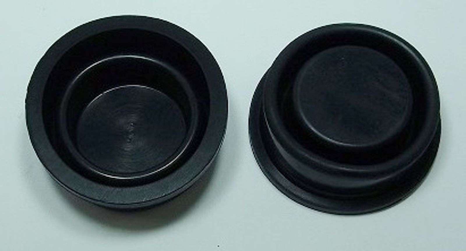 Master Cylinder Cap Diaphragms - 756604T image