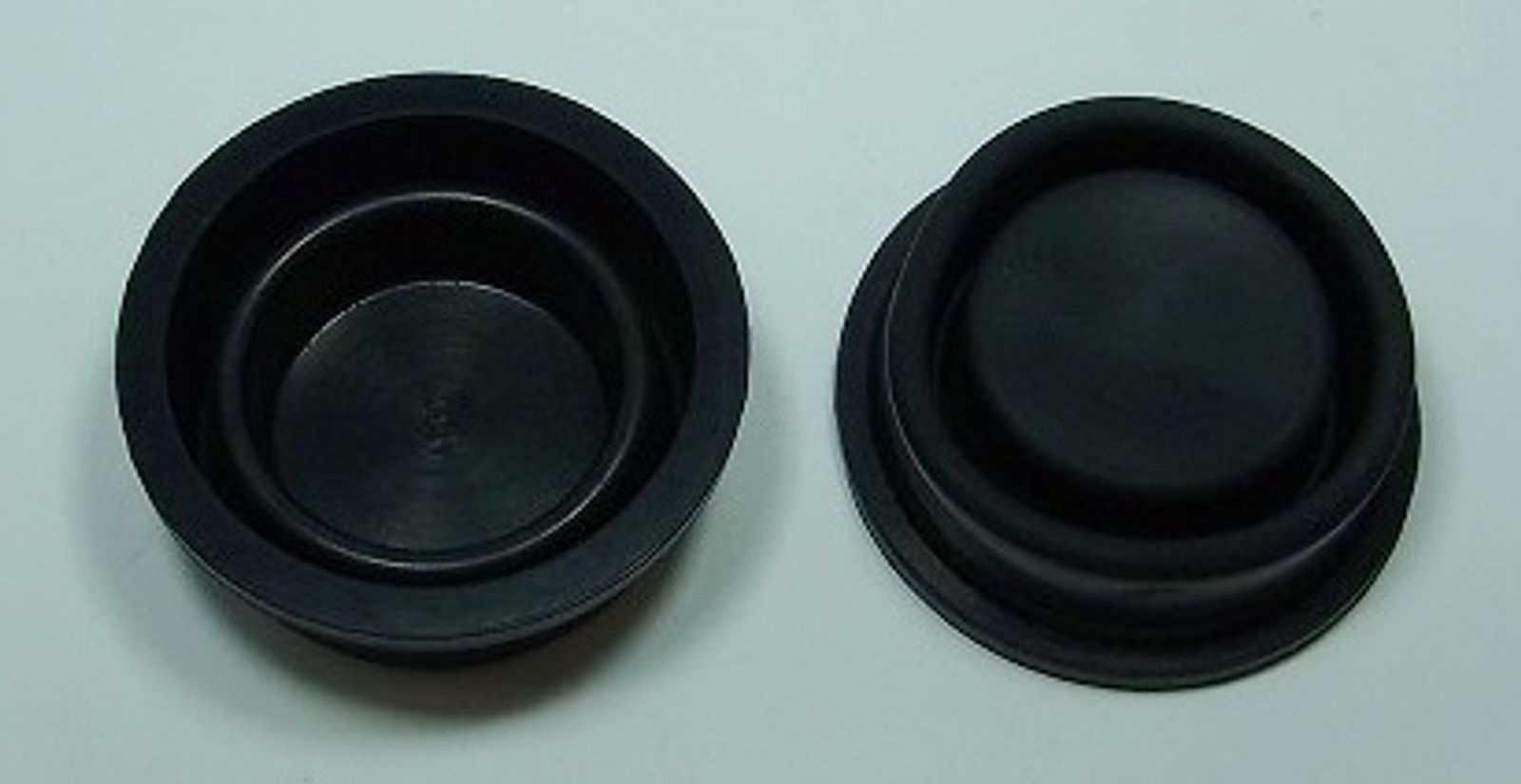 Master Cylinder Cap Diaphragms - 756702T image