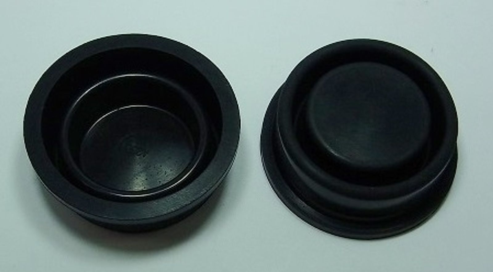 Master Cylinder Cap Diaphragms - 756802T image