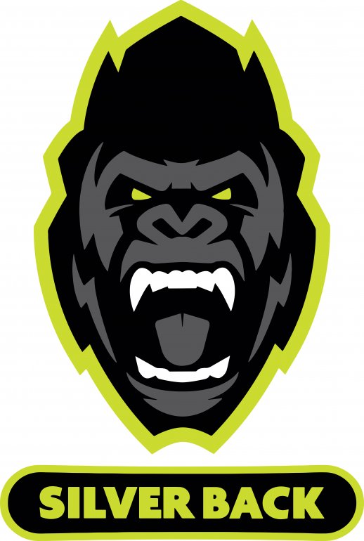 Image of Silverback