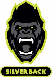 Image of Silverback